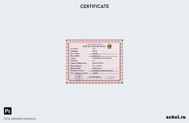 скачать цифровую версию PSD шаблона свидетельства о рождении в Ираке